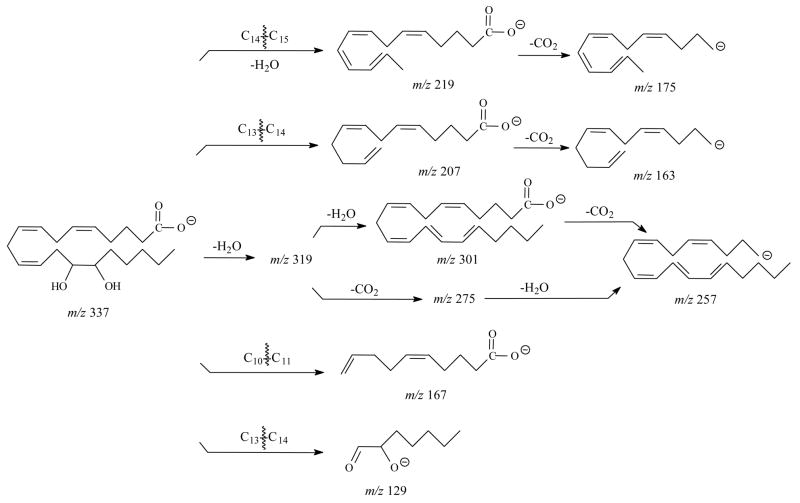 Scheme 3