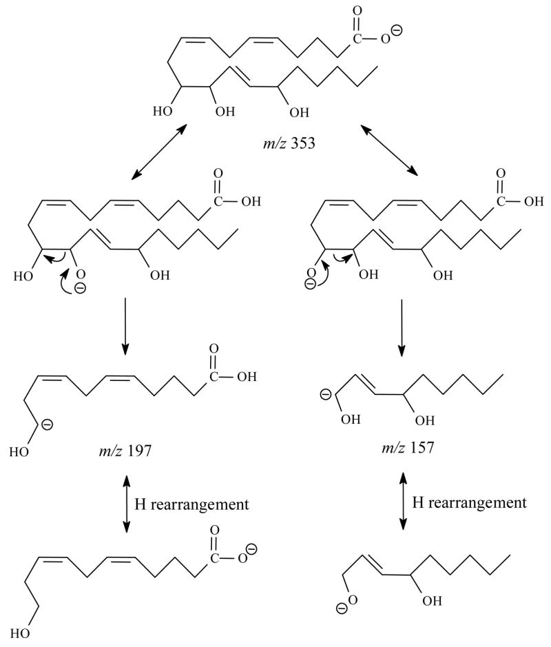 Scheme 7