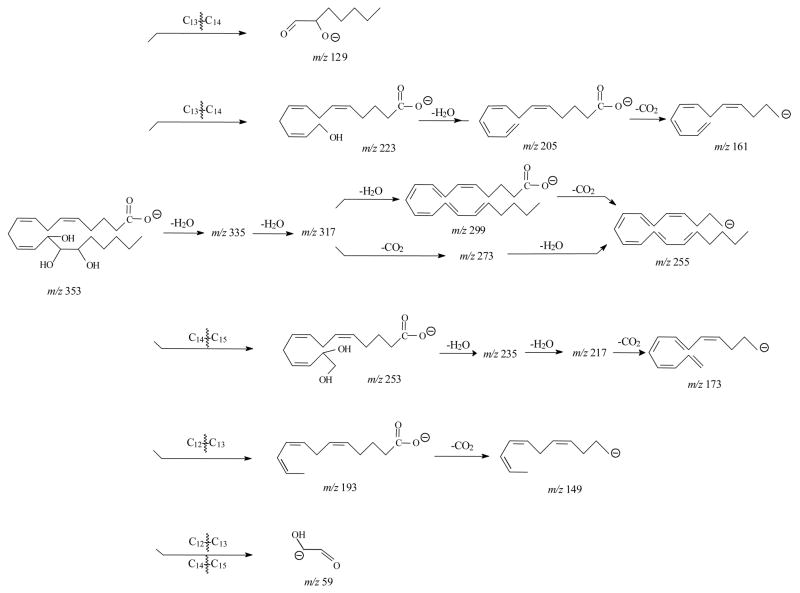 Scheme 6