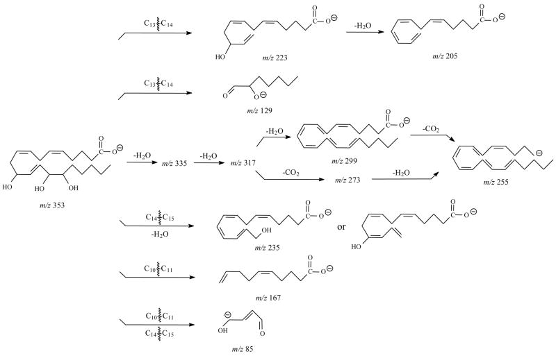 Scheme 5