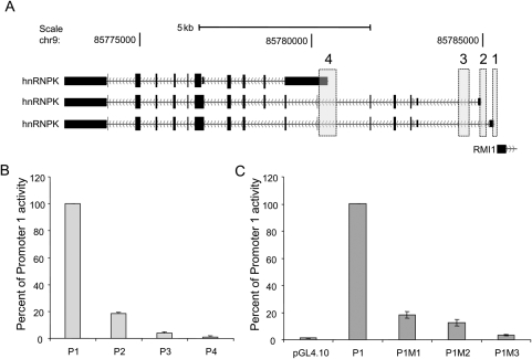 Figure 1