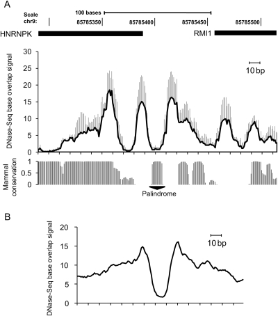 Figure 7