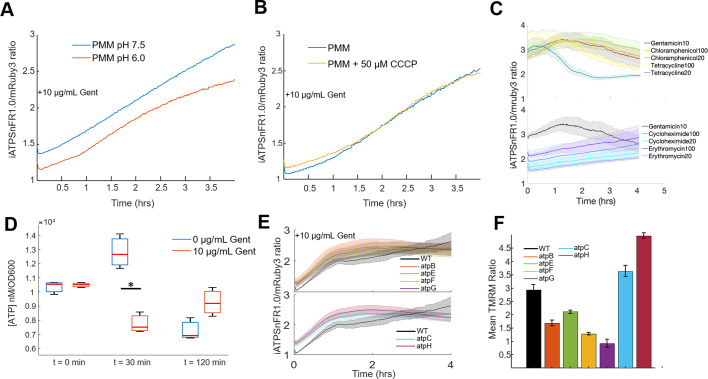 Figure 5—figure supplement 1.