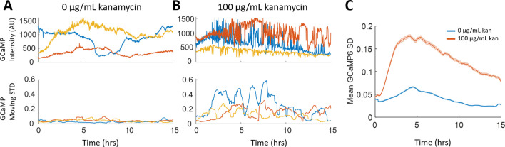 Figure 2—figure supplement 2.