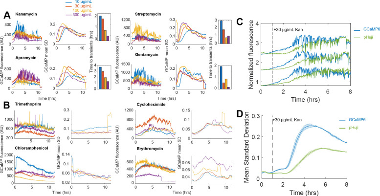 Figure 2—figure supplement 3.