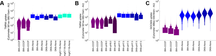 Figure 5—figure supplement 2.