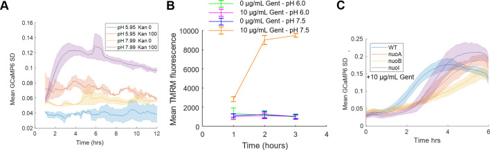 Figure 2—figure supplement 4.