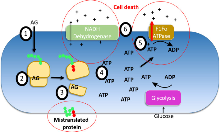 Figure 5—figure supplement 3.