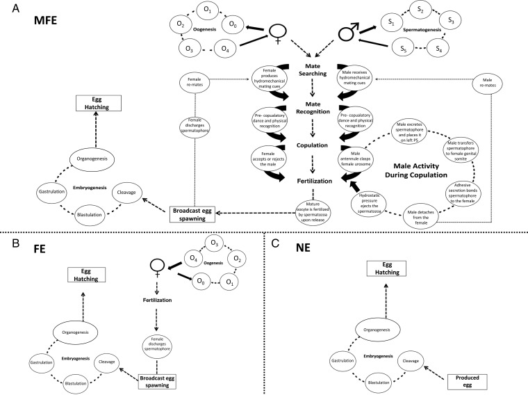 Fig. 1.