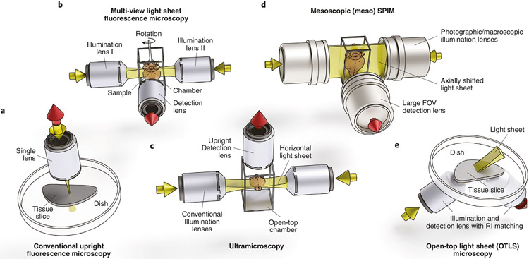 Fig. 4 ∣