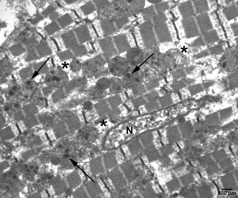 Fig. 4