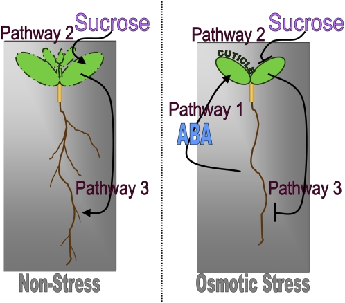 Figure 10.