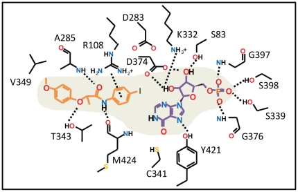 Figure 6