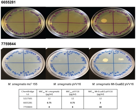 Figure 4