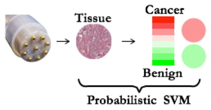 Fig. 12