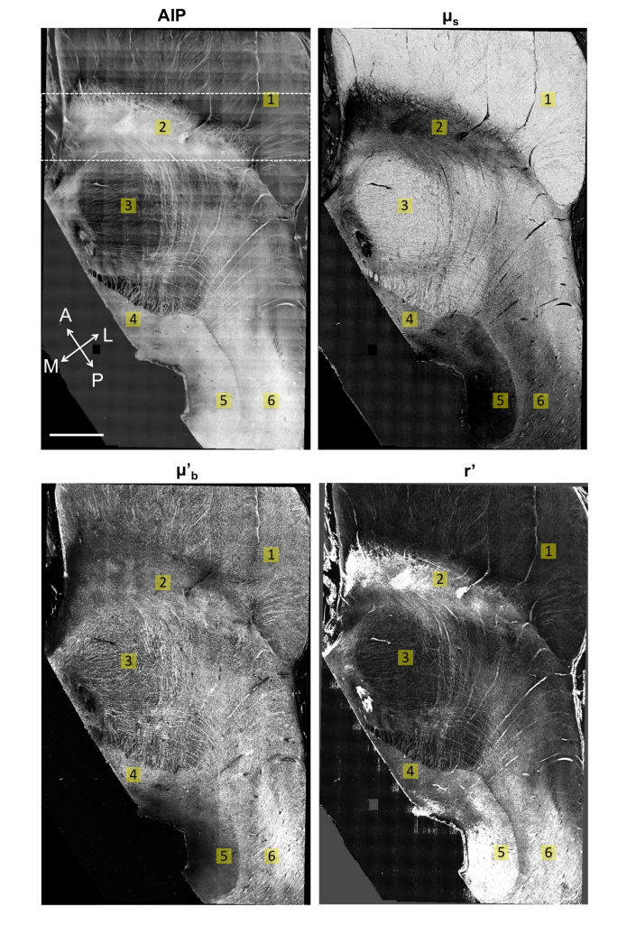 Fig. 9