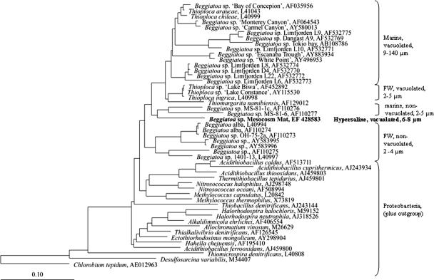 FIG. 7.