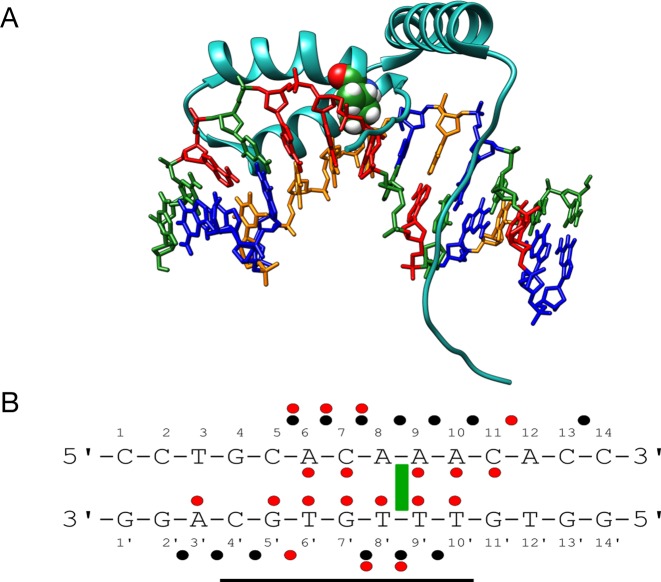 Figure 3.