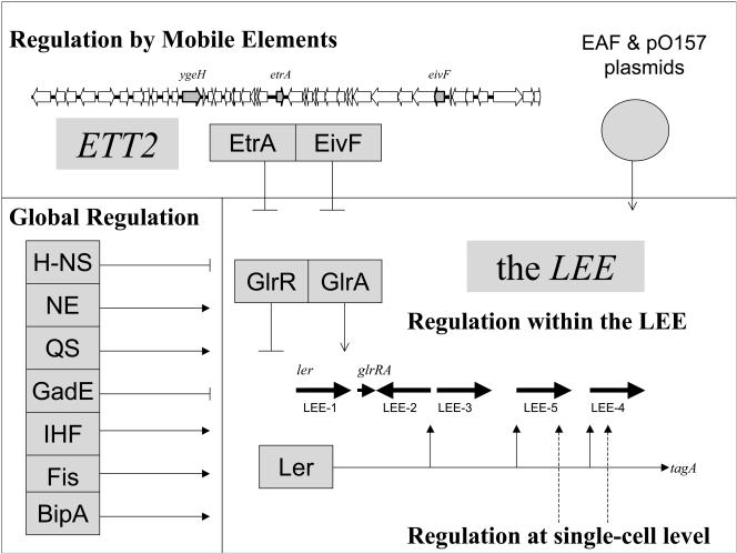 FIG. 1.