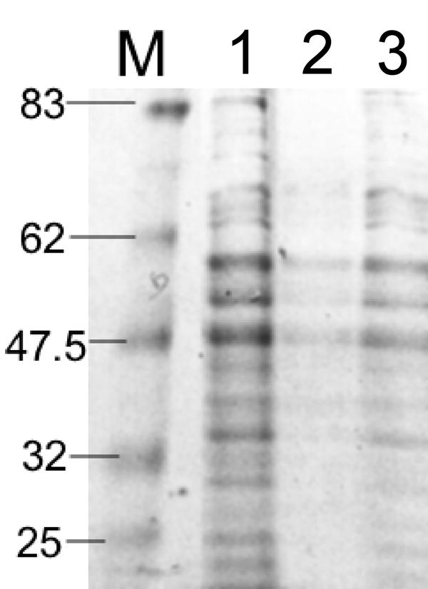 FIG. 7.