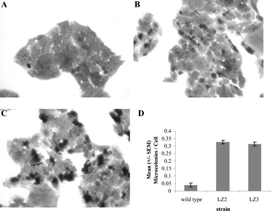 FIG. 6.