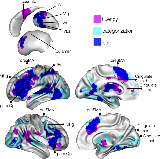 Figure 3: