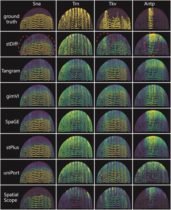 Figure 5