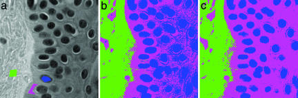 Fig. 5.