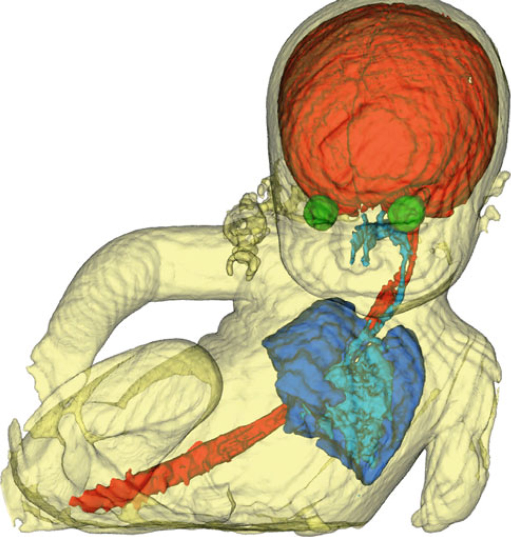 Fig. 8