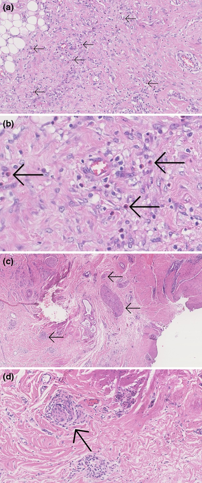 Fig. 3