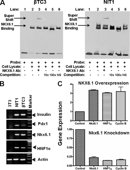 FIGURE 6.