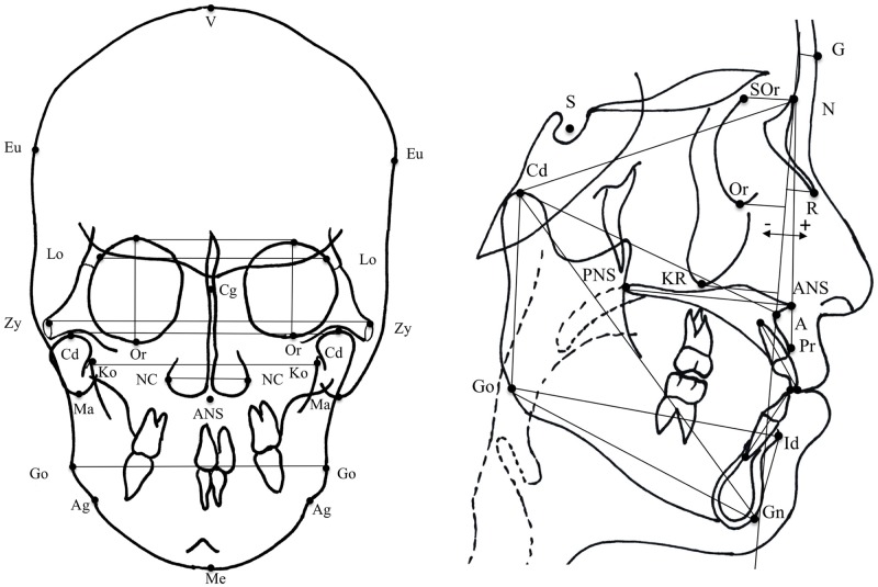 Fig 1