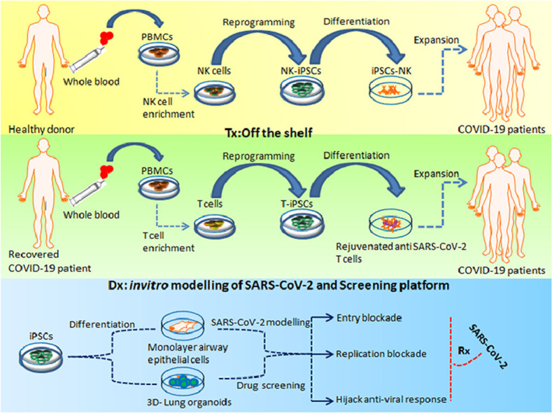 Image, graphical abstract