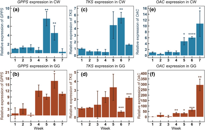 FIGURE 3