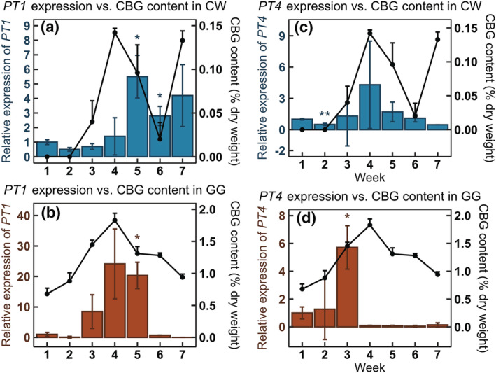 FIGURE 1