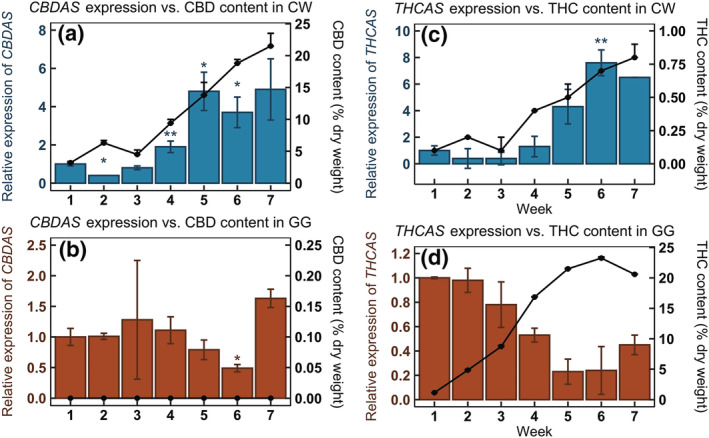 FIGURE 2