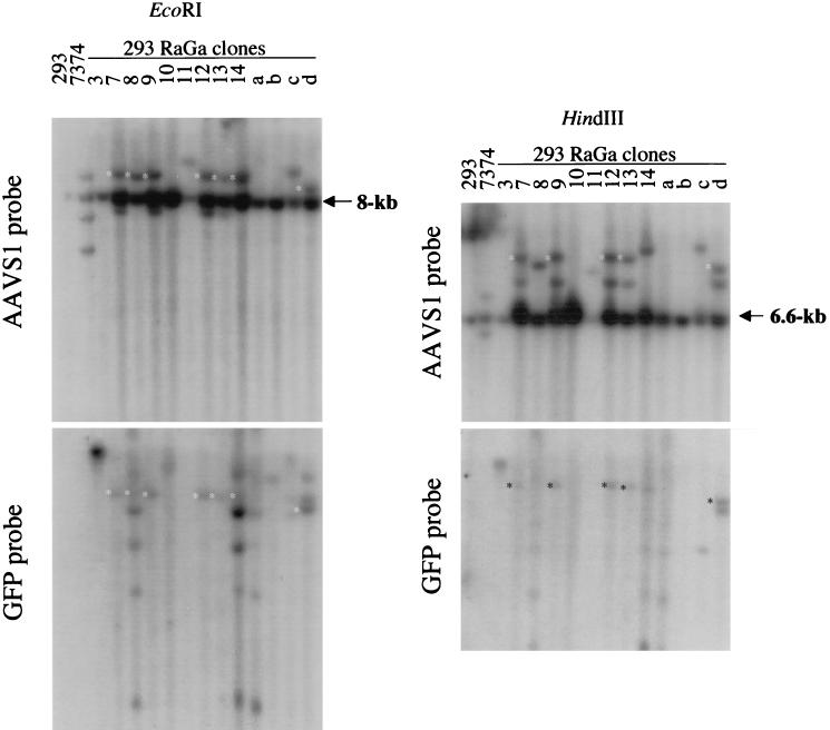 FIG. 7.