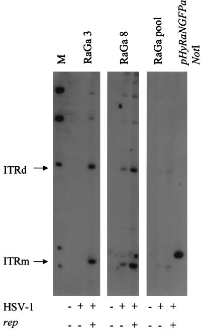 FIG. 6.