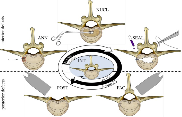 Figure 1.