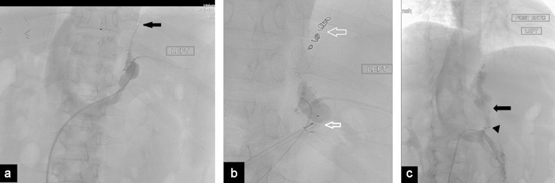 Fig. 9