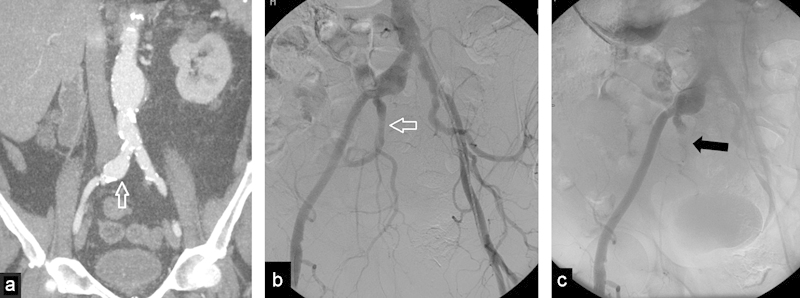 Fig. 5