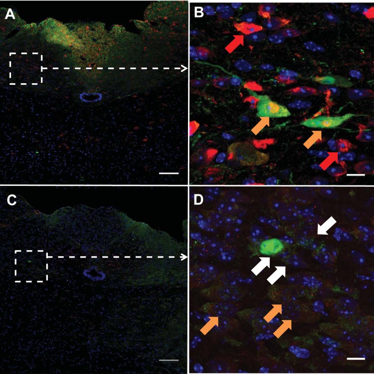 Fig. 4.