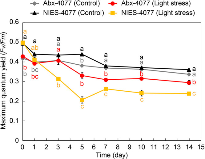 FIG 6