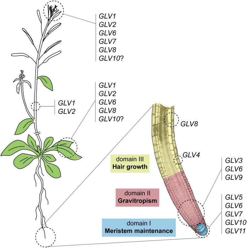 Figure 6.