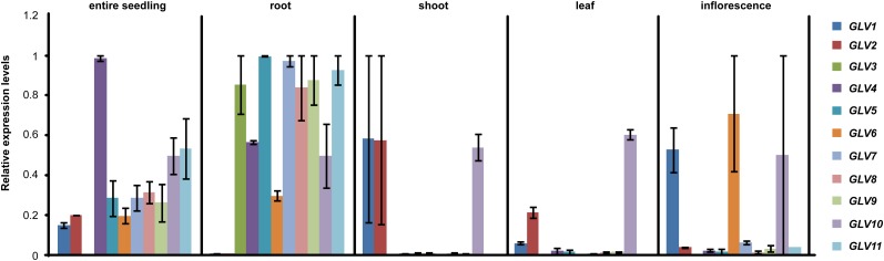 Figure 5.