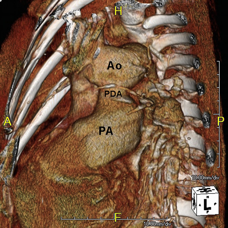 Figure 2