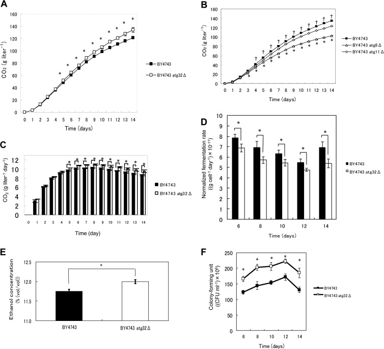 FIG 2