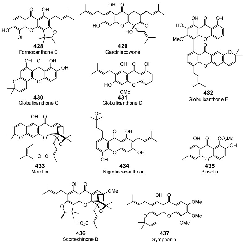 Figure 19