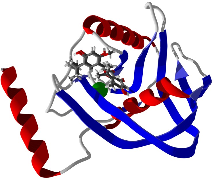 Figure 24