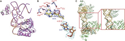 Fig. 6